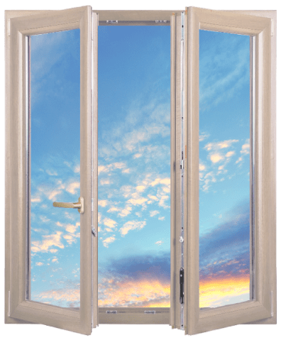 Дуб беленый